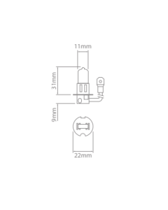 Ionnic 62201 Globe Halogen H3 Rally 12V 100W PK22s